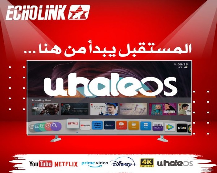 ECHOLINK TV 65″ 4K U65WM WHALE OS photo 1
