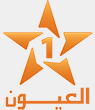 شعار قناة Laâyoune TV — العيوب